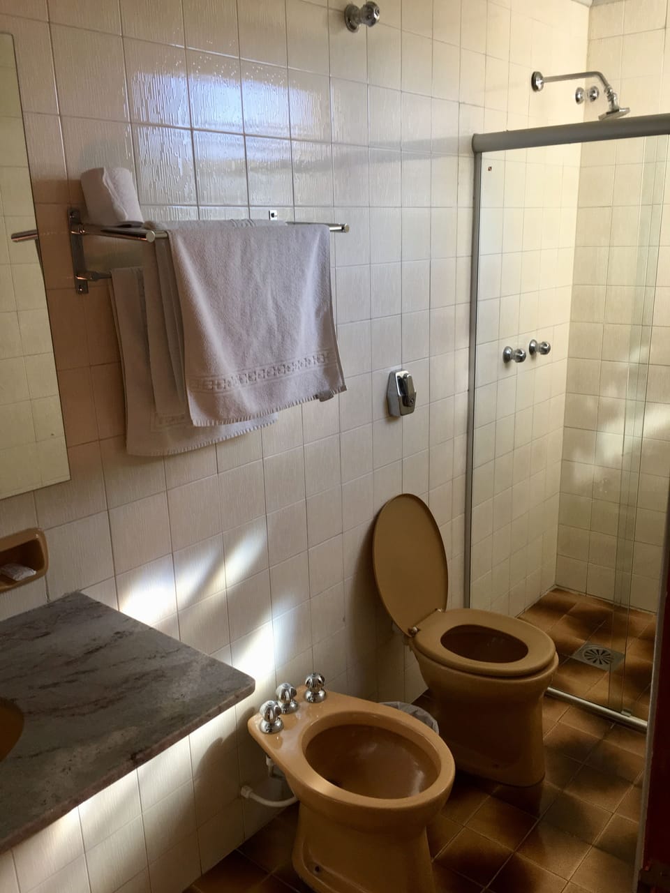 Shower, free toiletries, bidet, towels