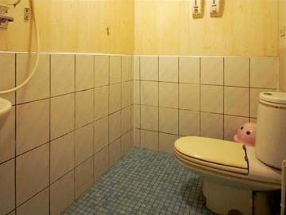 Shower, free toiletries, hair dryer, slippers