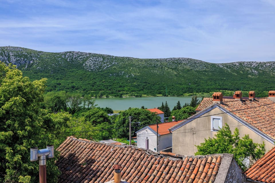 House | Aerial view