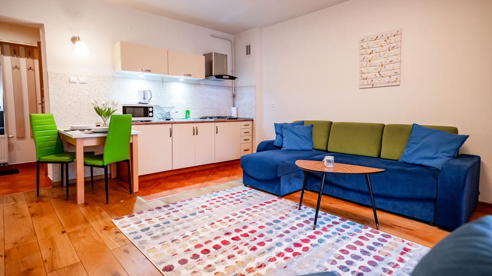 Studio (5) | Private kitchen | Fridge, microwave, stovetop, electric kettle