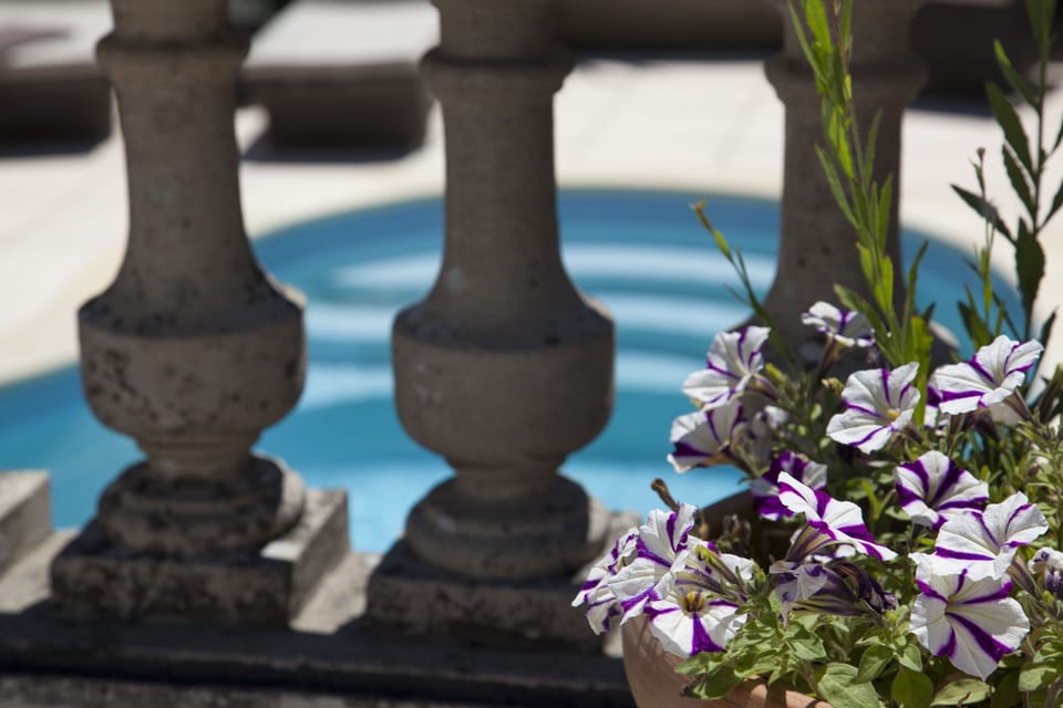Seasonal outdoor pool, pool umbrellas, sun loungers