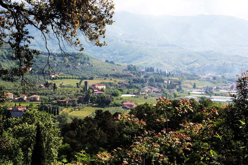 Land view from property