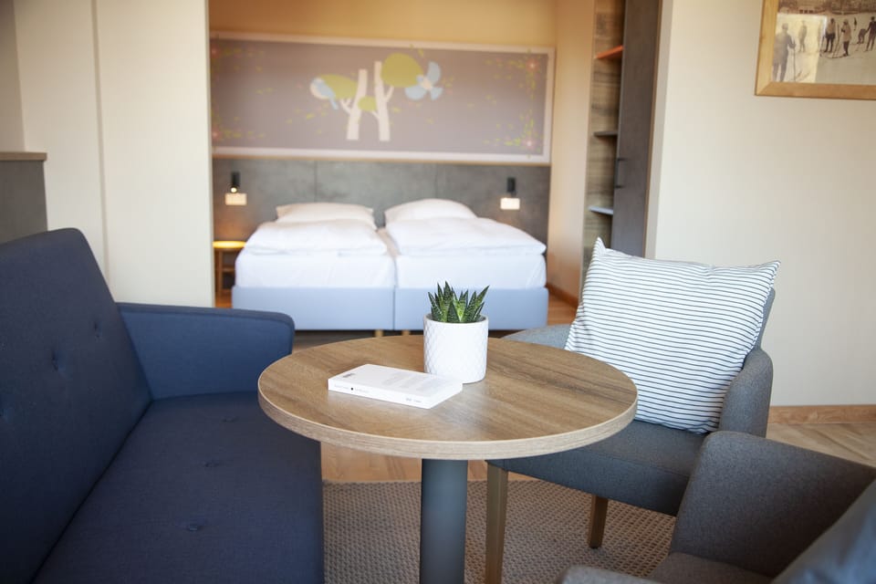 Superior Double Room | Living area | TV