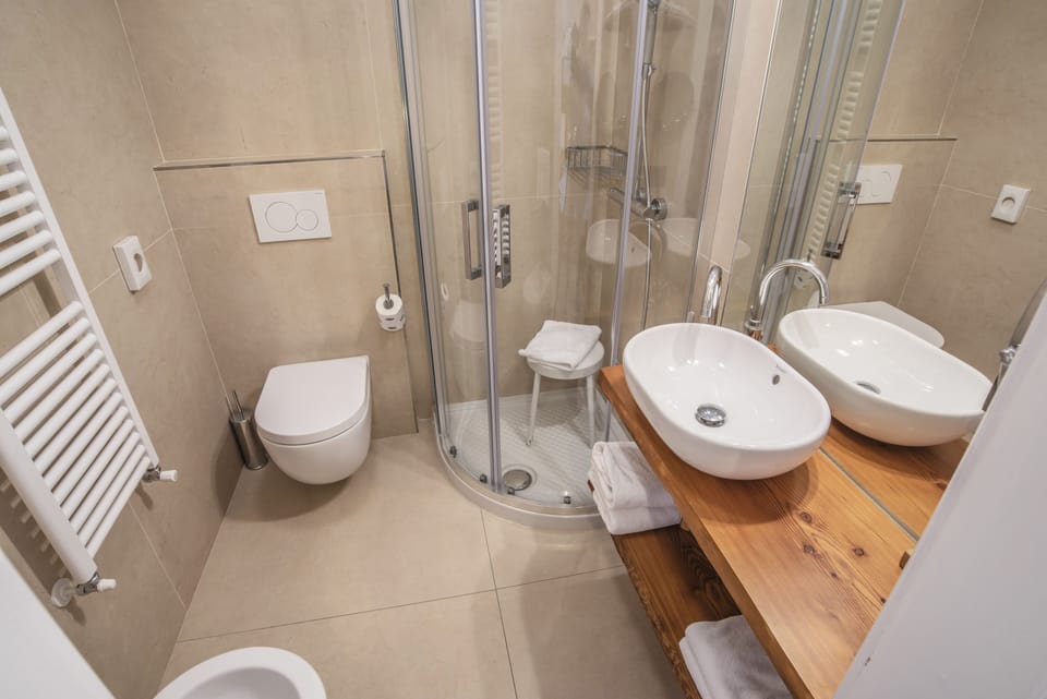 Shower, hair dryer, bidet, towels