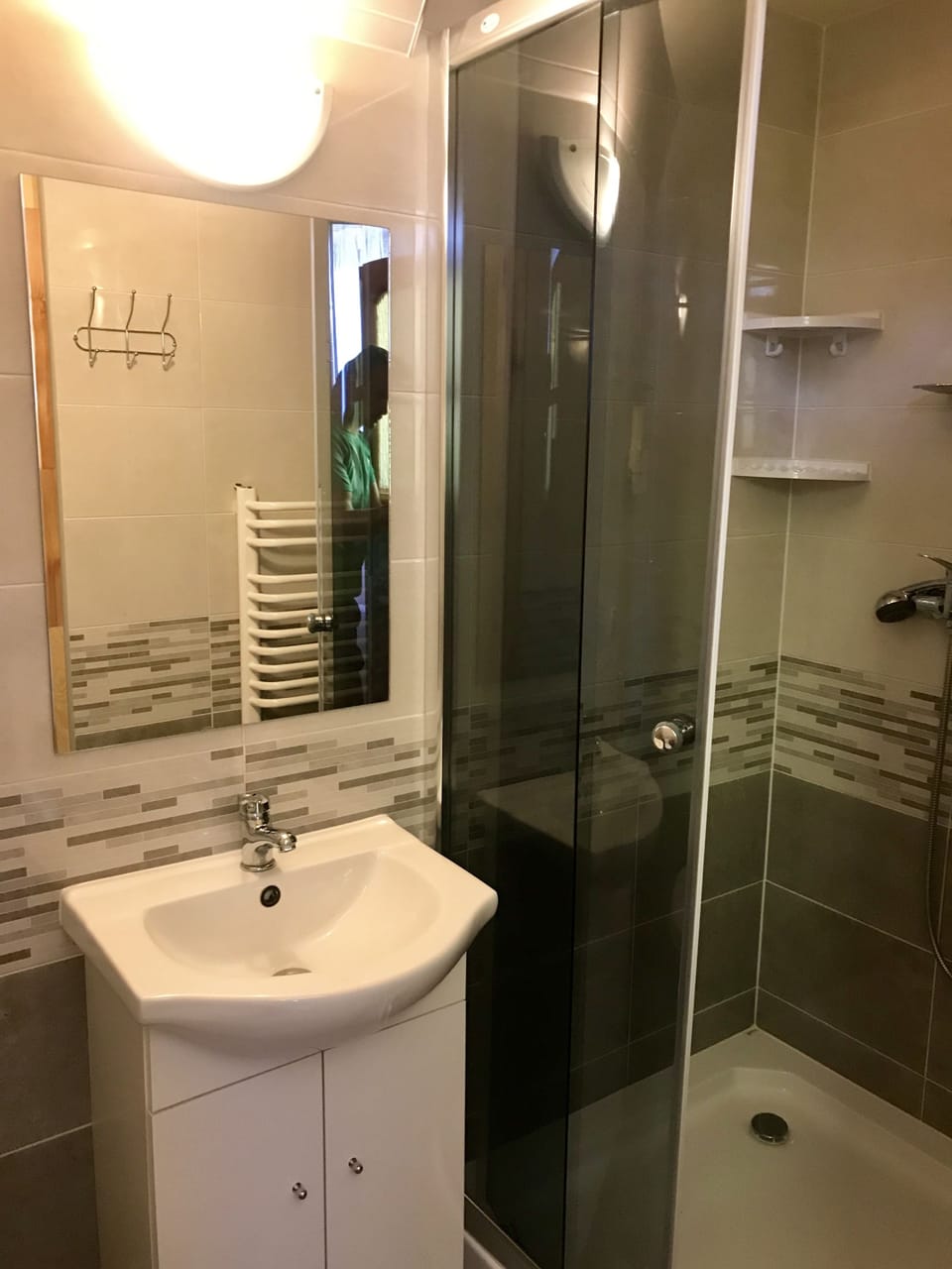 Family Room, Mountain View, Mezzanine | Bathroom | Shower