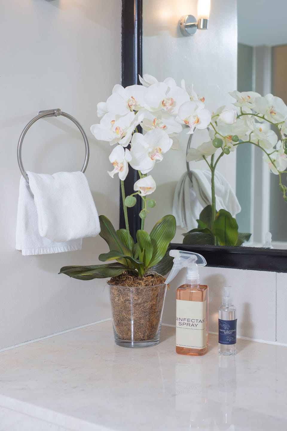 Cleanliness standards