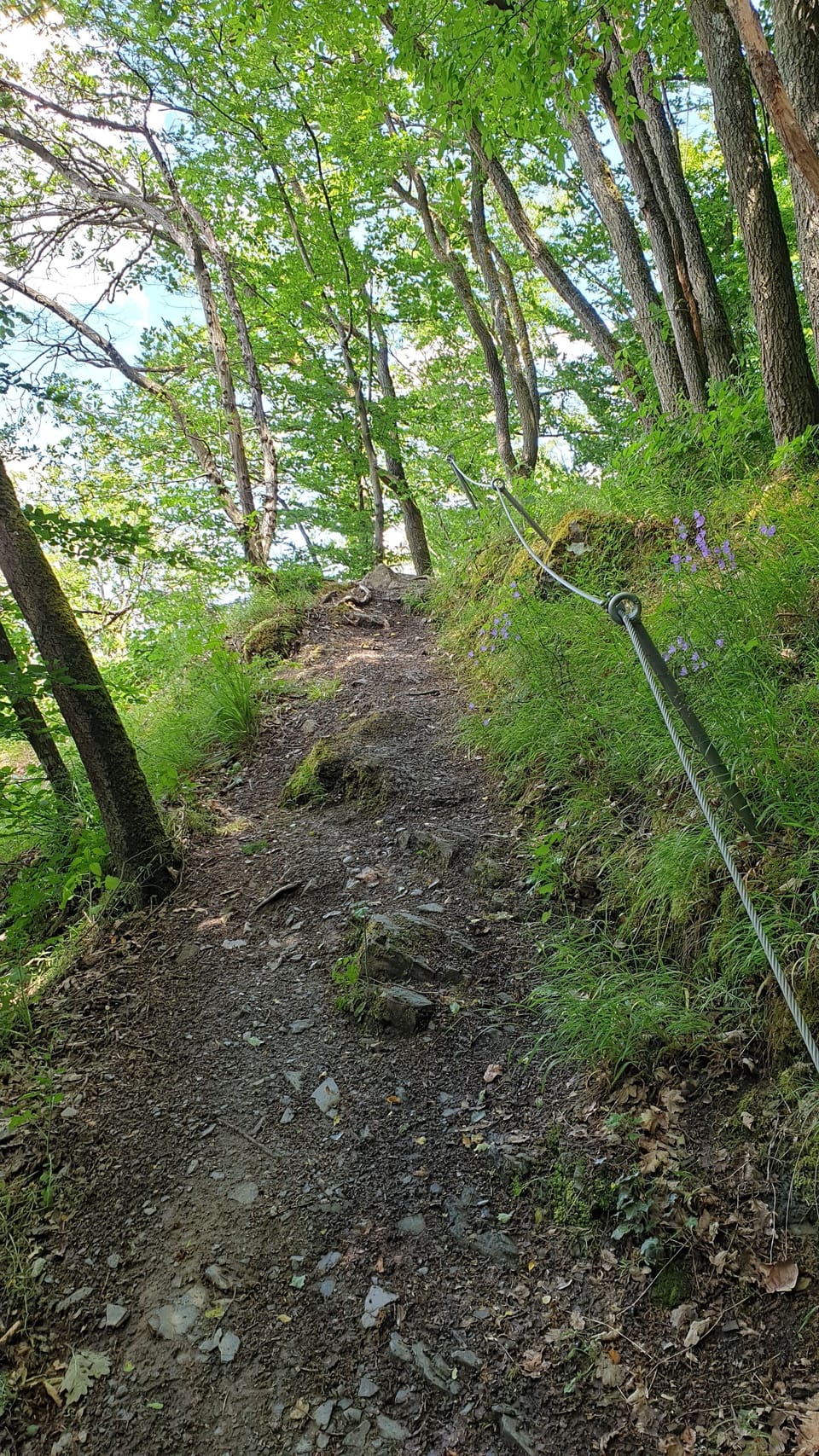 Hiking