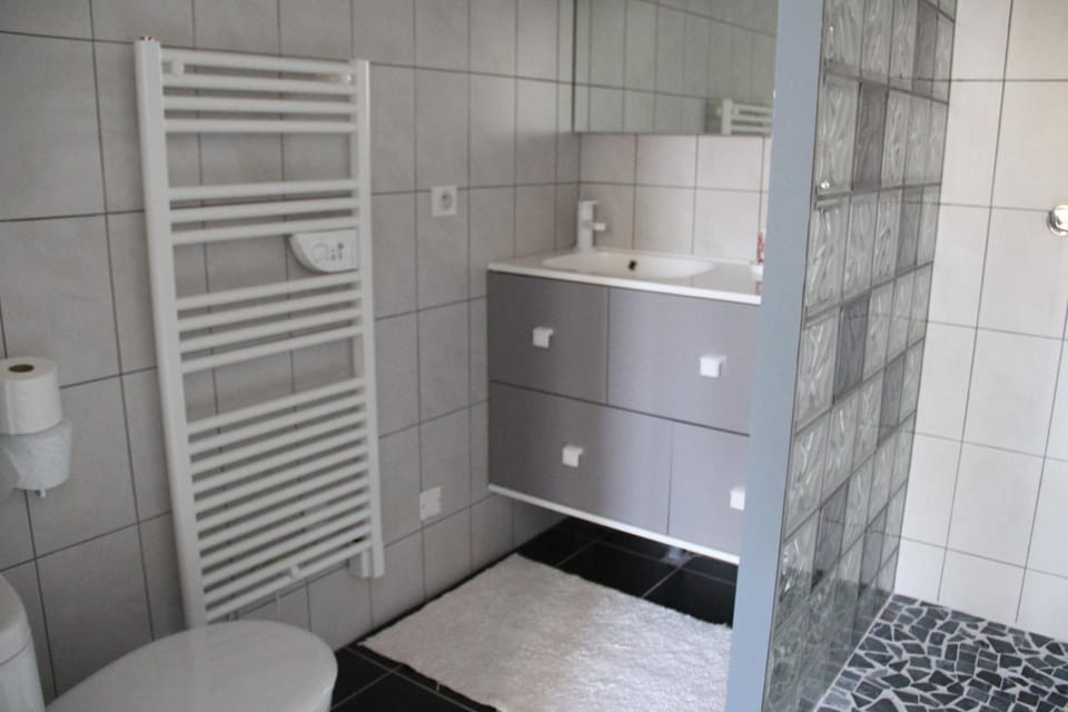 Shower, hair dryer, towels, toilet paper