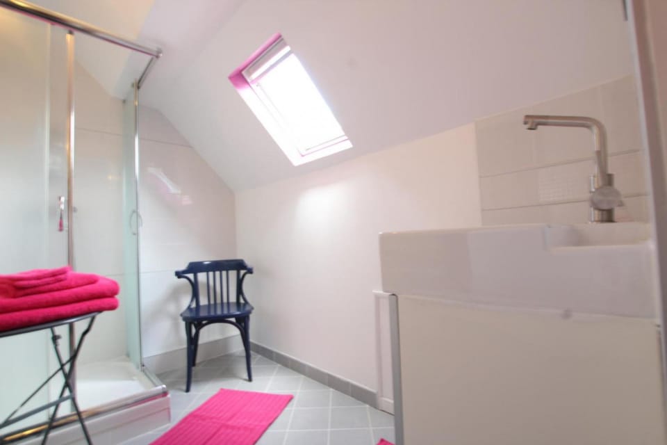 Quadruple Room (Camélia) | Bathroom | Shower, hair dryer, towels, soap
