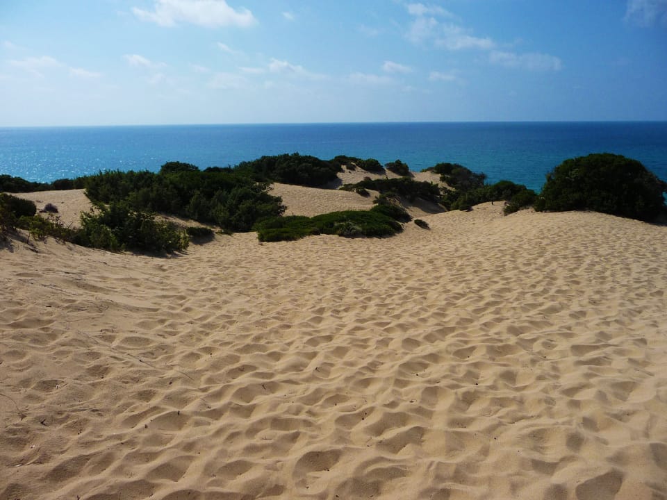 Agriturismo Sa Tanca Country House in Sardinia