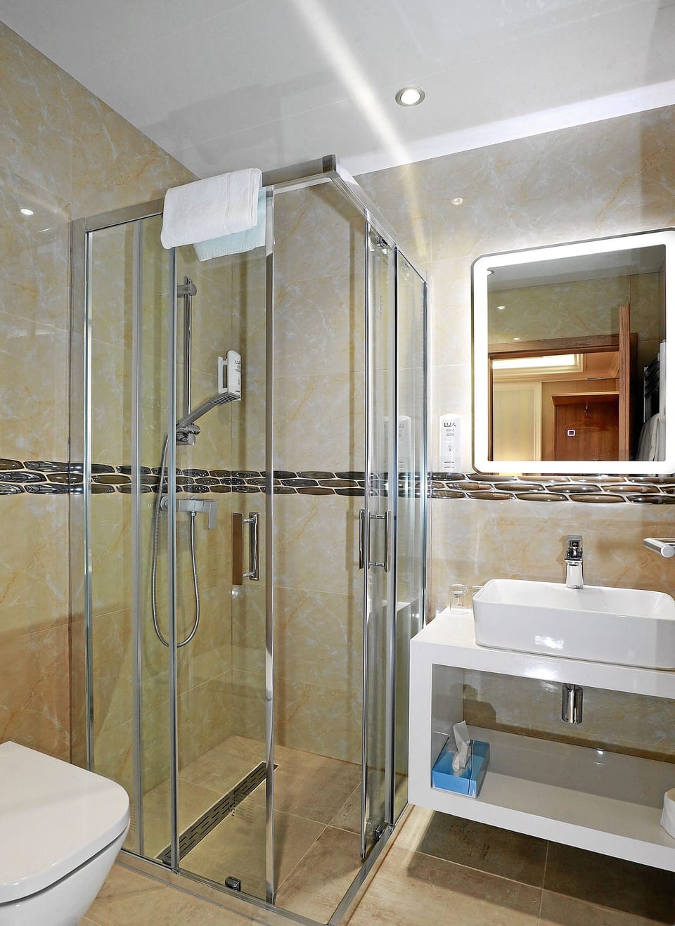 Shower, hair dryer, towels