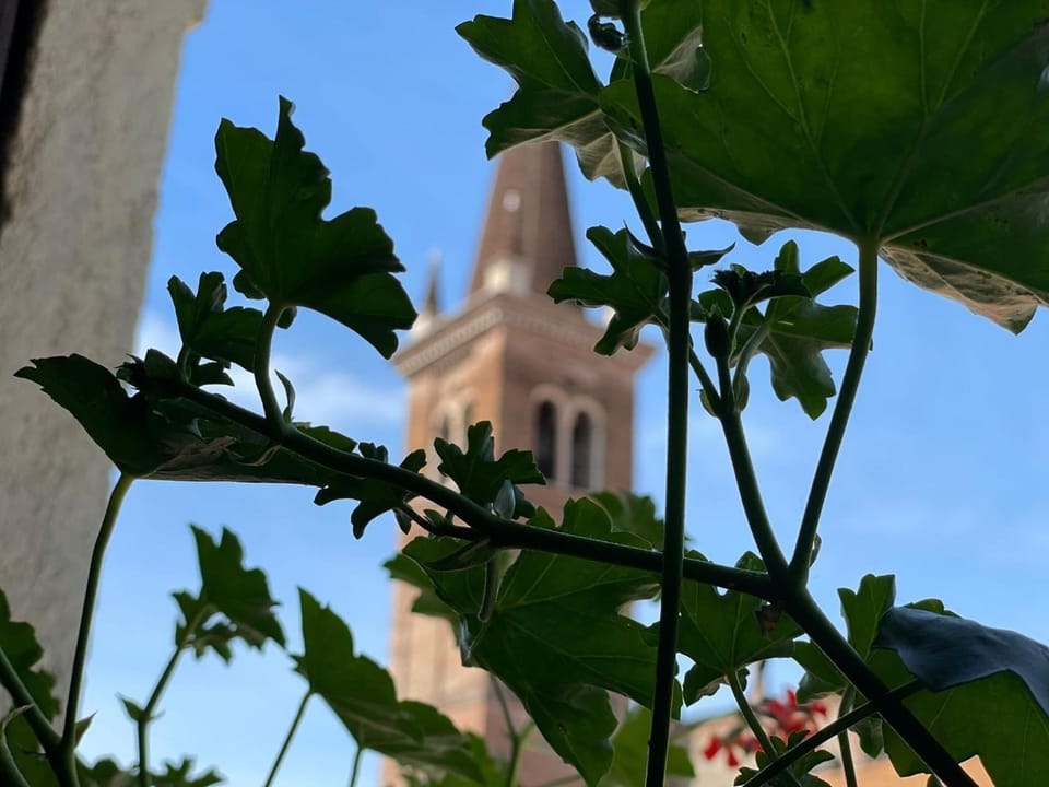 City view from property