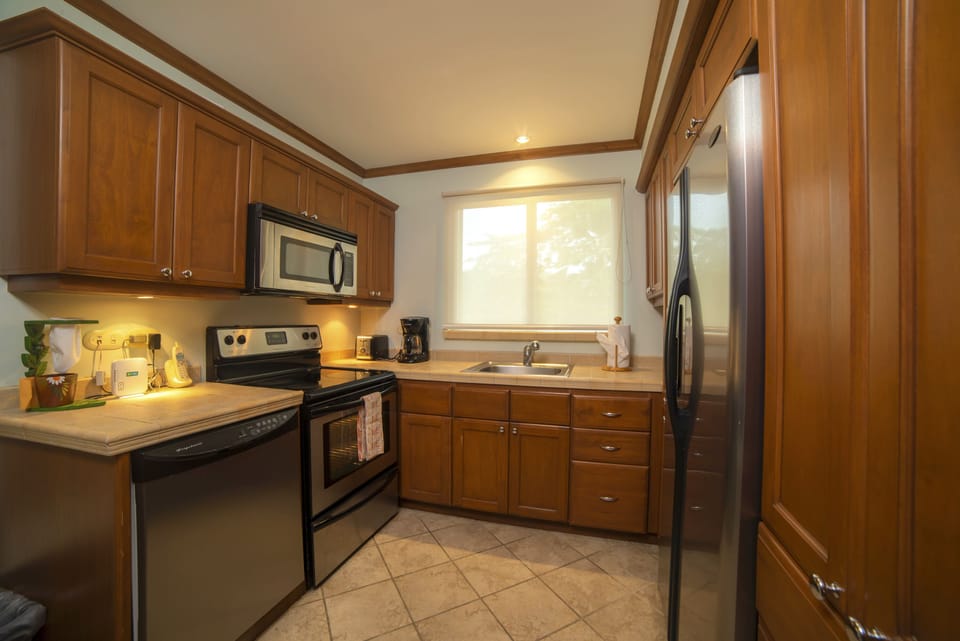 Deluxe Condo | Private kitchen | Fridge, microwave, oven, stovetop