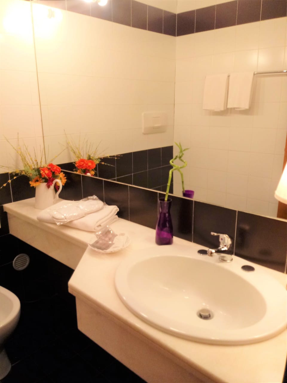 Deluxe Single Room | Bathroom | Shower, free toiletries, hair dryer, bidet