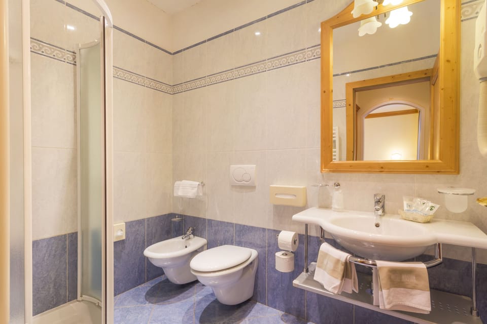 Shower, free toiletries, hair dryer, bidet