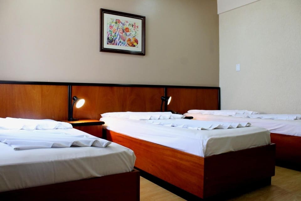Geneviee Palace Hotel Hotel in State of Paraná