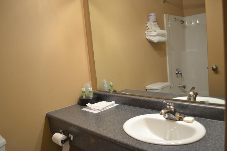 Combined shower/tub, hair dryer, towels