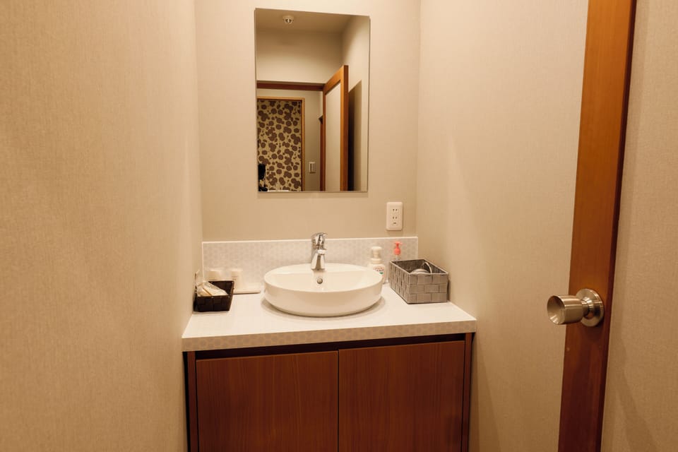 Hair dryer, slippers, electronic bidet, towels