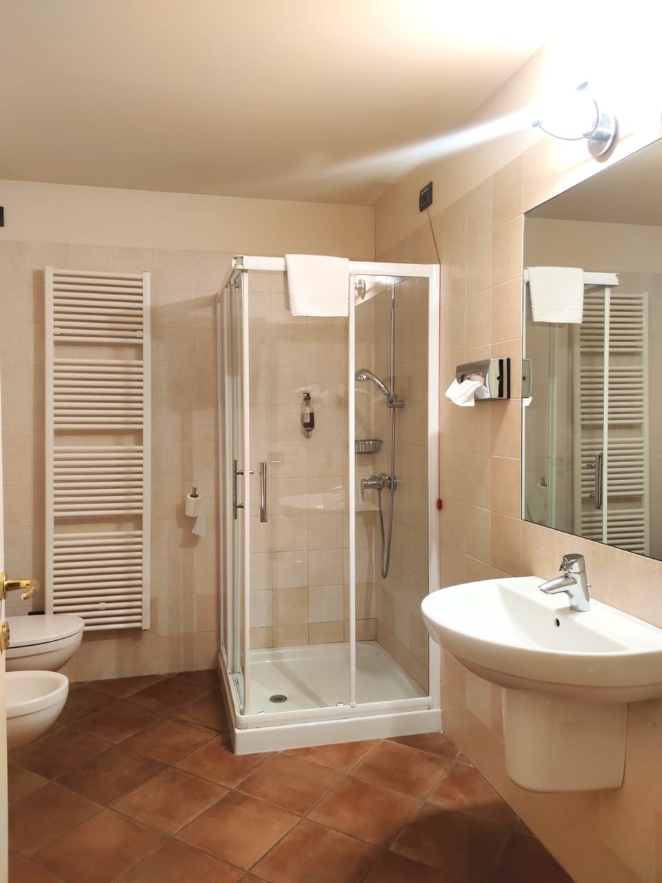 Shower, free toiletries, hair dryer, bidet