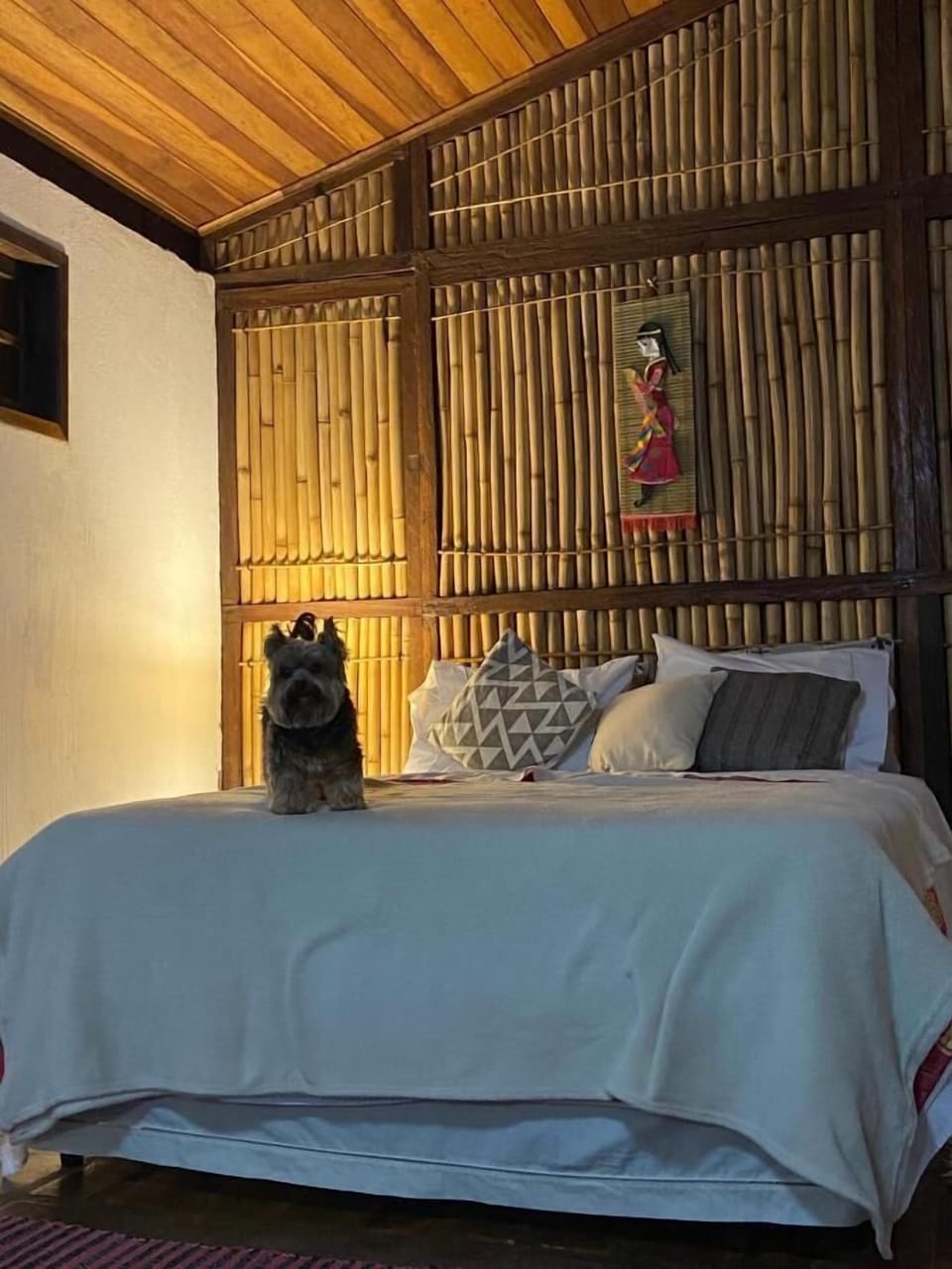 Suíte Oriental | Minibar, desk, WiFi (free), bed sheets