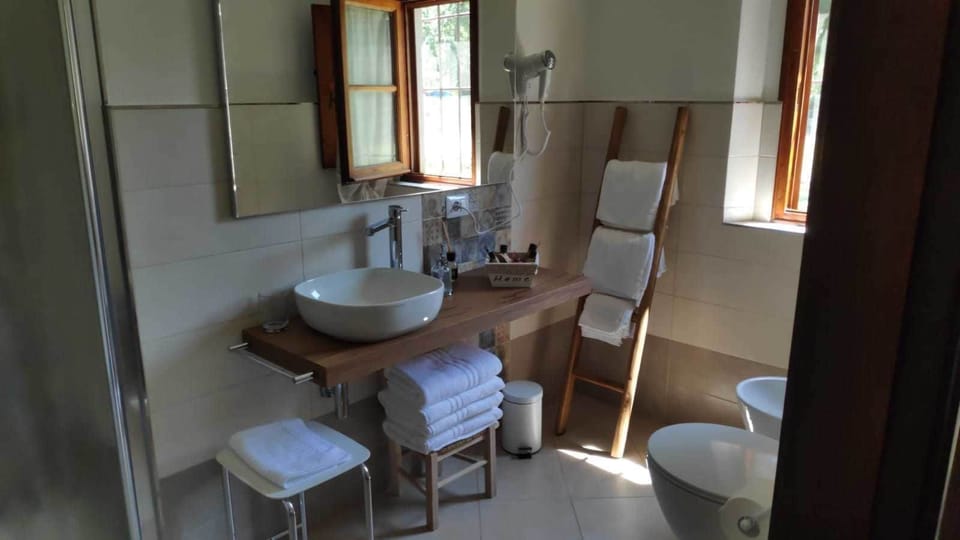 Basic Room (Agrifoglio) | Bathroom | Shower, free toiletries, hair dryer, bathrobes