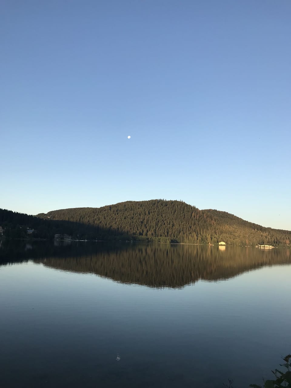 Lake view