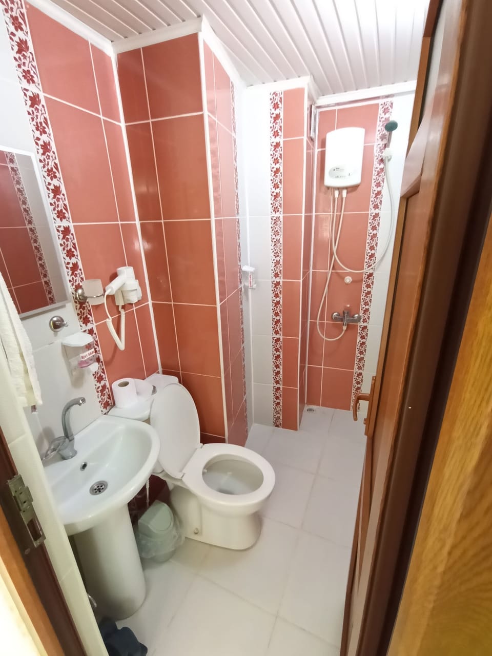 Shower, hair dryer, bathrobes, towels