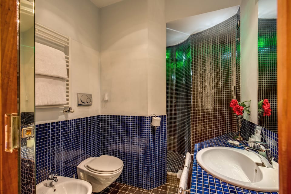 Shower, hydromassage showerhead, free toiletries, hair dryer