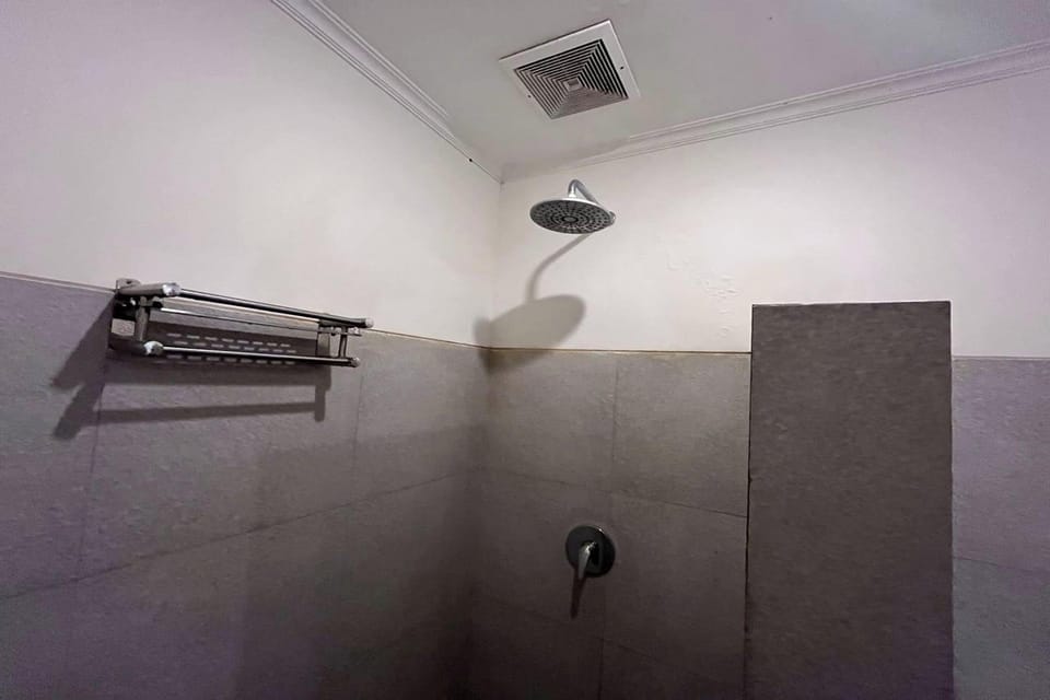 Deluxe Room | Bathroom | Shower, rainfall showerhead, free toiletries, towels