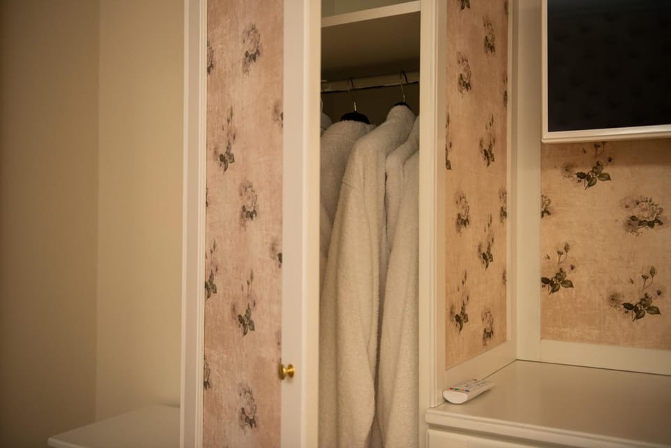 Shower, free toiletries, hair dryer, slippers