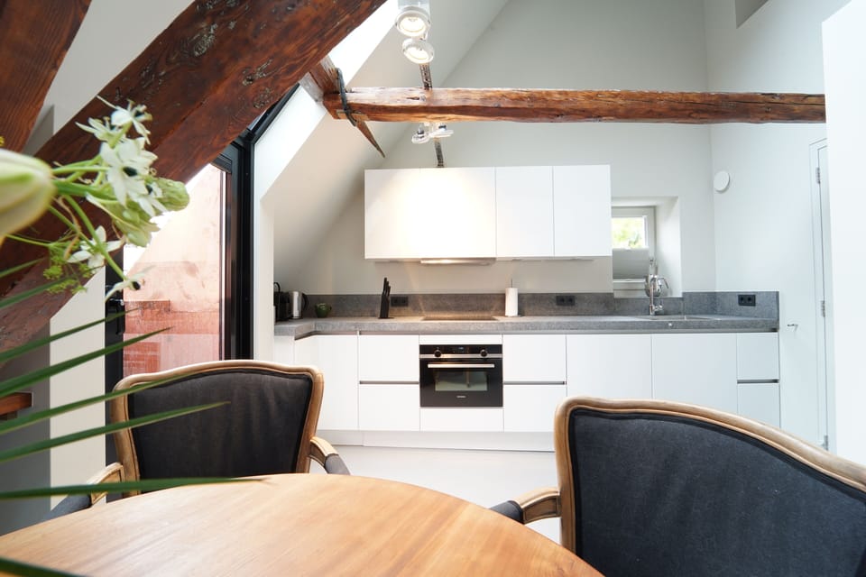 Family Apartment | Private kitchen | Full-size fridge, microwave, oven, stovetop