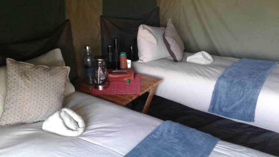 Luxury Tent | Desk, iron/ironing board (on request), rollaway beds (surcharge)