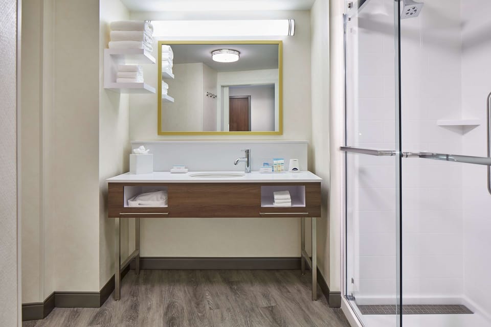 Room, 1 King Bed, City View | Bathroom shower