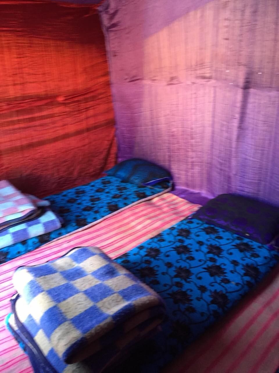 Tent, Multiple Beds | Bed sheets