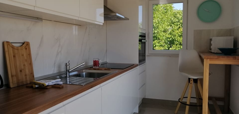 Apartment (A2) | Private kitchen | Fridge, microwave, oven, stovetop
