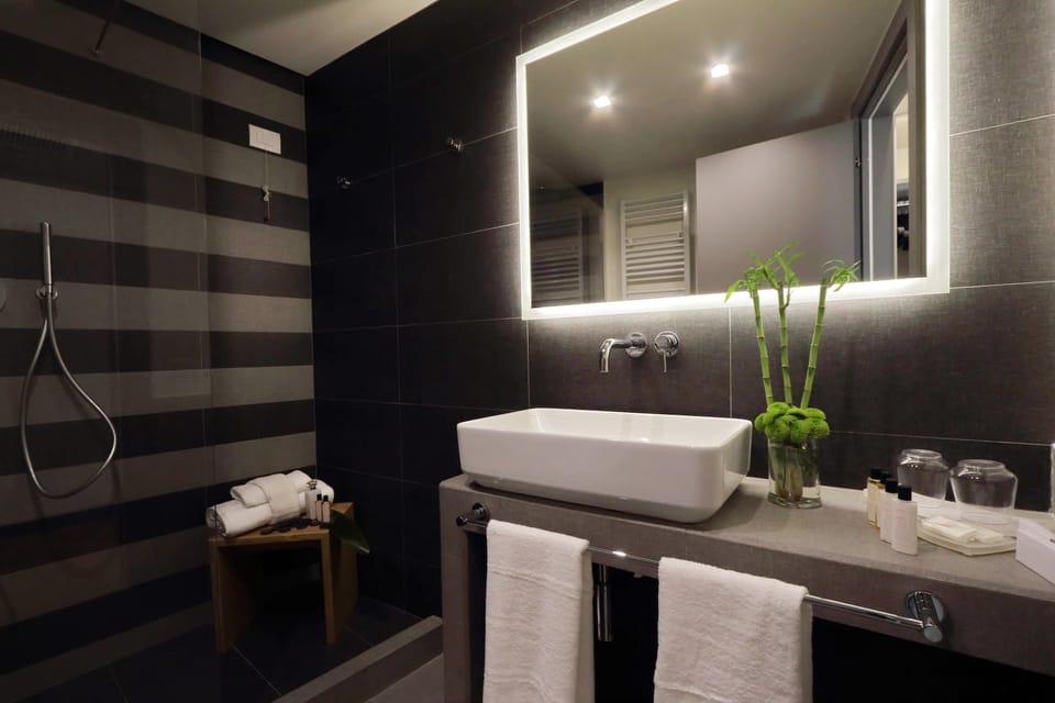 Deluxe Room | Bathroom | Shower, rainfall showerhead, eco-friendly toiletries, hair dryer