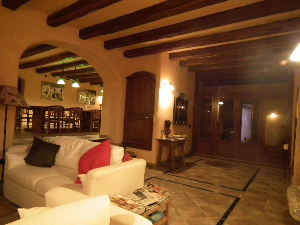 Fireplace, table tennis, books