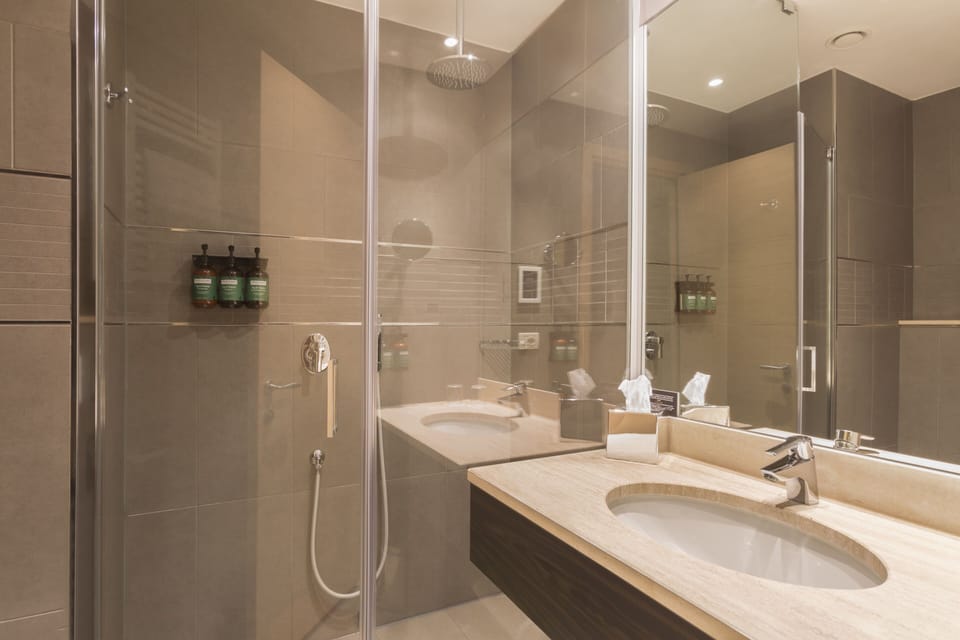 Shower, free toiletries, hair dryer, bidet