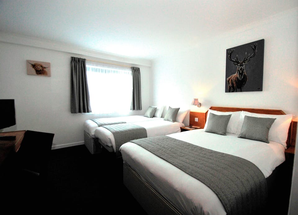 Room, Multiple Beds, Non Smoking | Extra beds