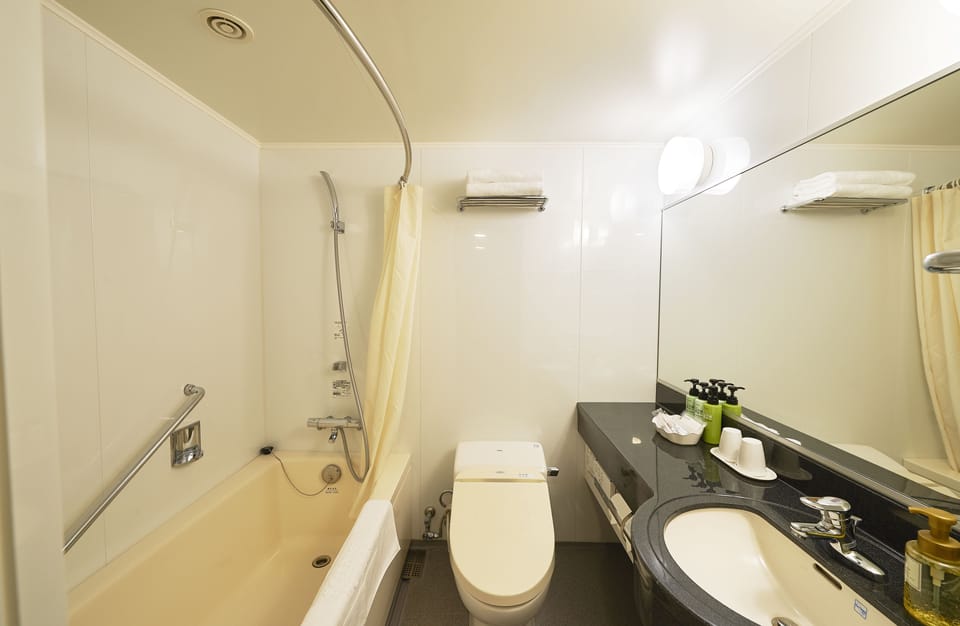 Combined shower/tub, deep soaking tub, free toiletries, hair dryer