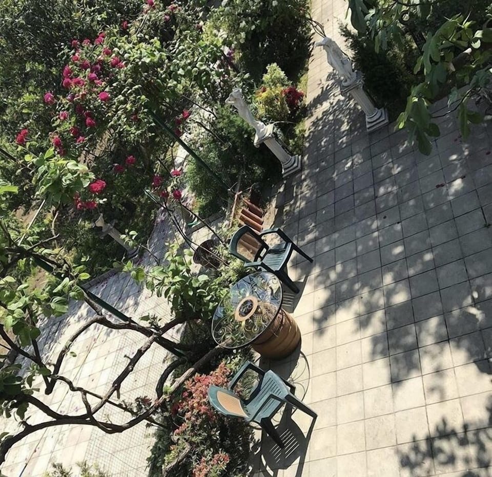Topical house Bed and Breakfast in Adjara, Georgia