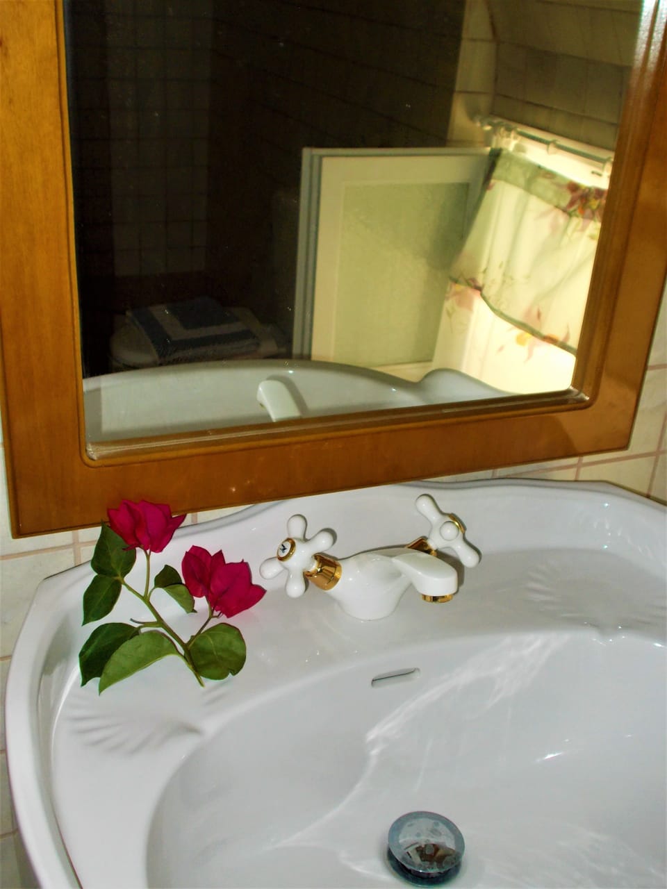 Traditional Suite, 1 Bedroom | Bathroom | Free toiletries, hair dryer, towels, soap