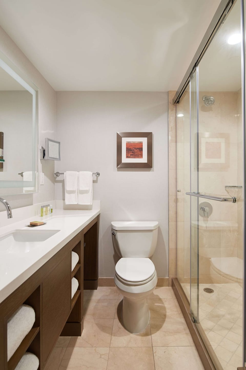 Combined shower/tub, free toiletries, hair dryer, towels