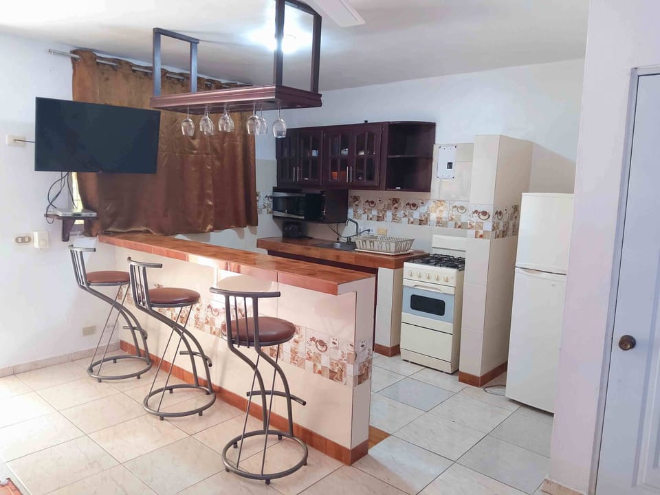 Executive Apartment | Private kitchen | Fridge, microwave, griddle, freezer