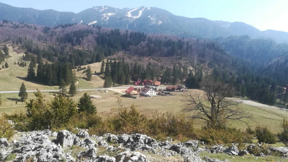 Pensiunea Poiana Cristian Bed and Breakfast in Brasov