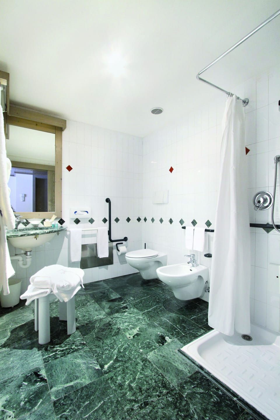 Shower, hair dryer, bidet, towels