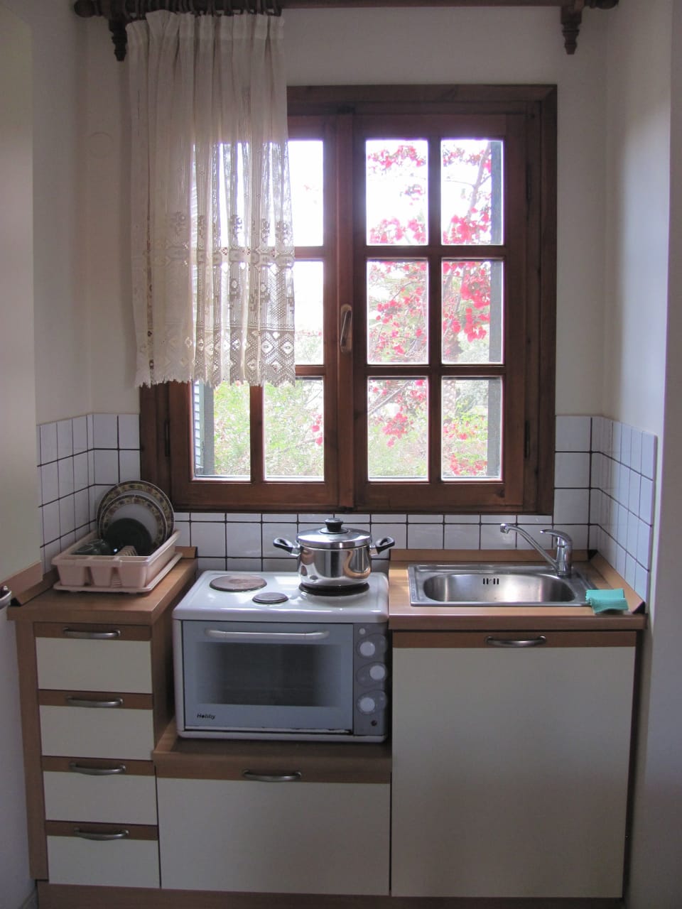 Basic Apartment, 1 Bedroom, Garden View, Oceanfront | Private kitchenette | Full-size fridge, coffee/tea maker, electric kettle