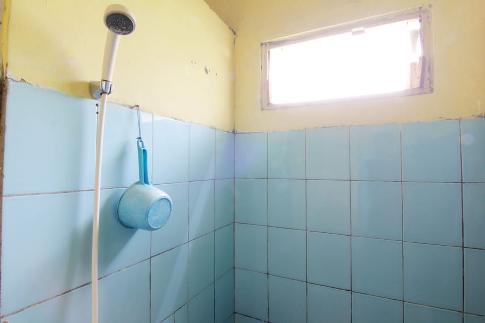 Standard Fan | Bathroom | Shower, towels