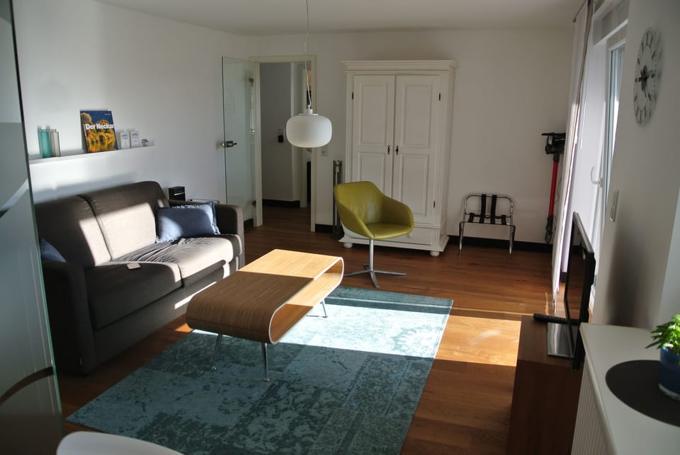 Comfort-Apartment (on top of the rate cleaning Fee 60 EUR) | Living room | Flat-screen TV