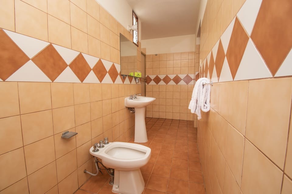 Superior Double Room | Bathroom | Shower, free toiletries, bidet, towels